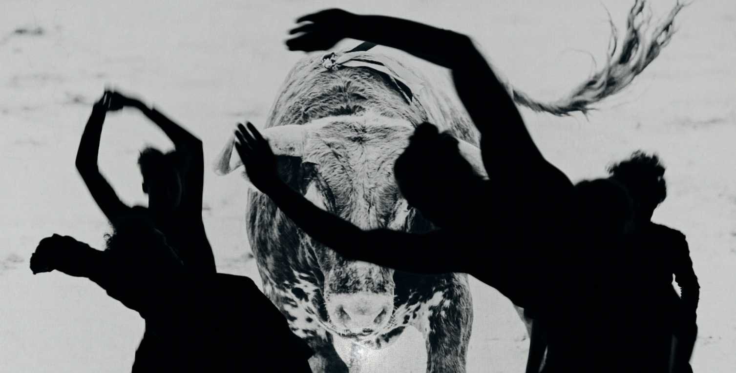 Jordi Casanovas: Smečka